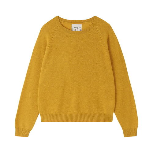 JUMPER 1234 Crop Crew Neck Jumper in Spicy Mustard