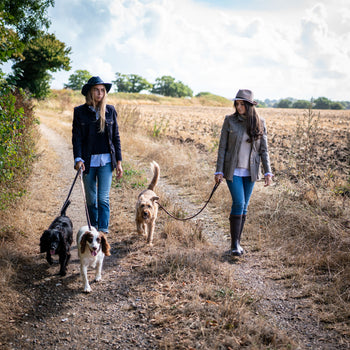 Fedoras, Frills and Four Legged Friends