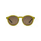 GOODLOOKERS Robbie Polarised Sunglasses in Olive/Tortoiseshell