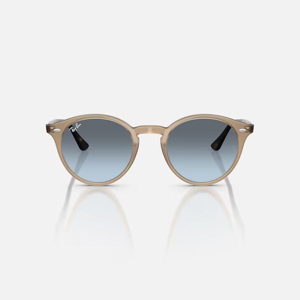 RAY-BAN RB2180 Sunglasses in Turtledove