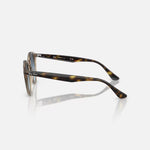 RAY-BAN RB2180 Sunglasses in Turtledove