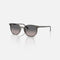 RAY-BAN Elliot Sunglasses in Striped Grey