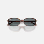 RAY-BAN RB2232 Sunglasses in Striped Havana