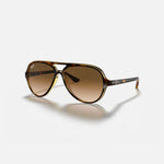 RAY-BAN Cats 5000 Classic Sunglasses in Light Havana