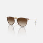 RAY-BAN Erika Sunglasses in Transparent Light Brown