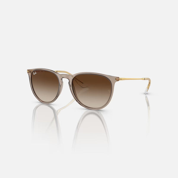 RAY-BAN Erika Sunglasses in Transparent Light Brown