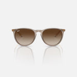 RAY-BAN Erika Sunglasses in Transparent Light Brown