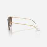 RAY-BAN Erika Sunglasses in Transparent Light Brown