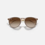 RAY-BAN Erika Sunglasses in Transparent Light Brown