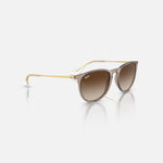 RAY-BAN Erika Sunglasses in Transparent Light Brown