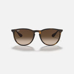 RAY-BAN Erika Sunglasses in Rubber Havana