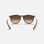RAY-BAN Erika Sunglasses in Rubber Havana