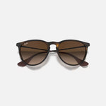 RAY-BAN Erika Sunglasses in Rubber Havana