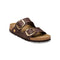 BIRKENSTOCK Arizona Big Buckle Raffia Sandals in Raffia Carafe
