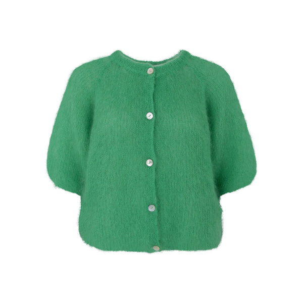 BLACK COLOUR BCBjoerk Patent Knit Short Sleeve Cardigan in Green