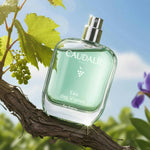 CAUDALIE Eau des Vignes Fragrance 50ml