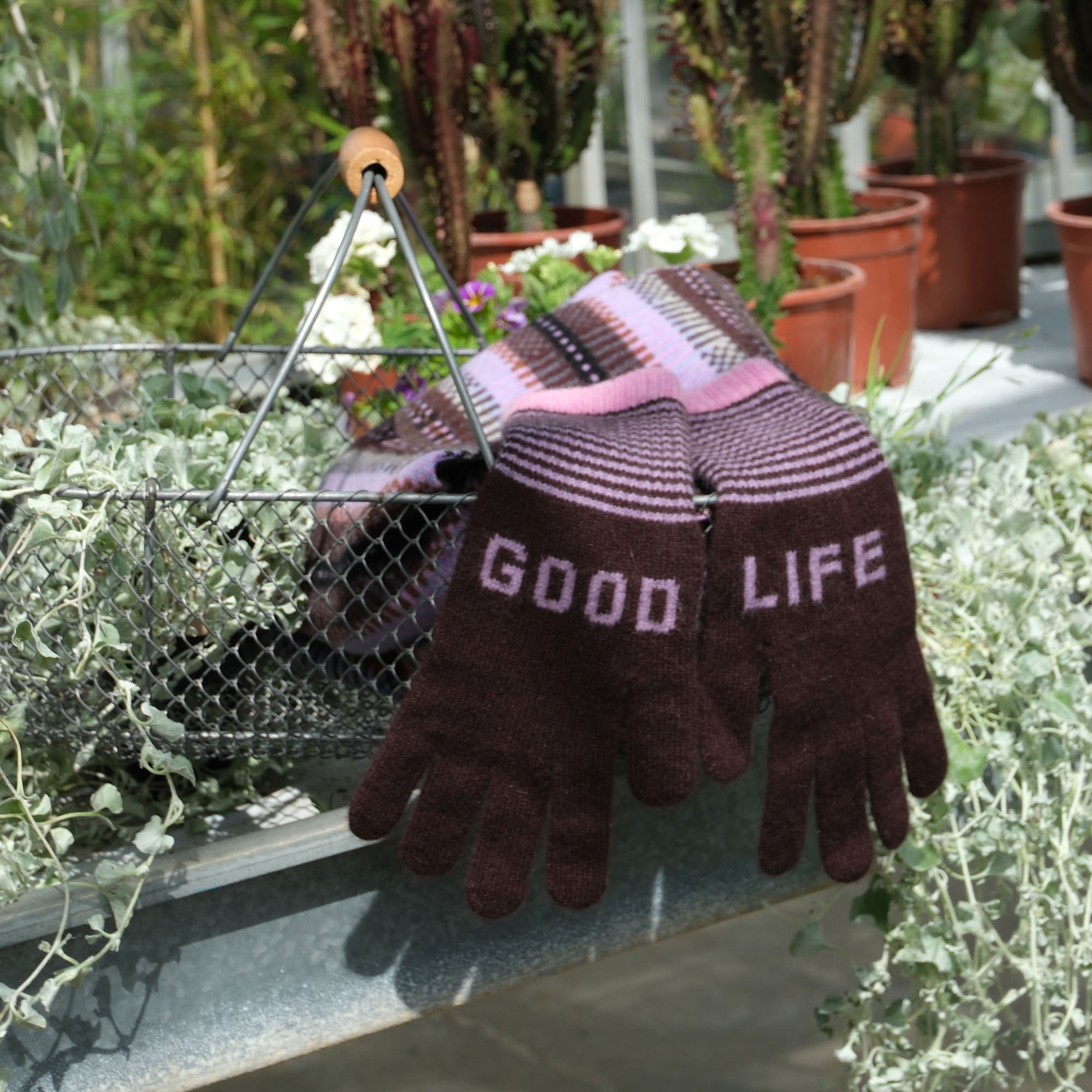 QUINTON & CHADWICK Good Life Angora Gloves in Brown/Lilac | Collen
