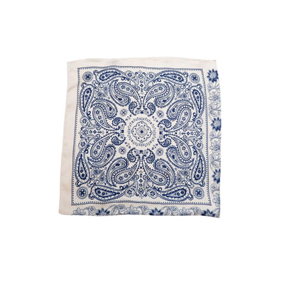 BLACK COLOUR Paisley Mini Scarf in Blue