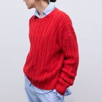 THE NEW SOCIETY Bluebell Cotton Jumper in Tulip Red