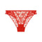 AUBADE Loosing My Mind Briefs in Chilli