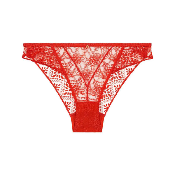 AUBADE Loosing My Mind Briefs in Chilli