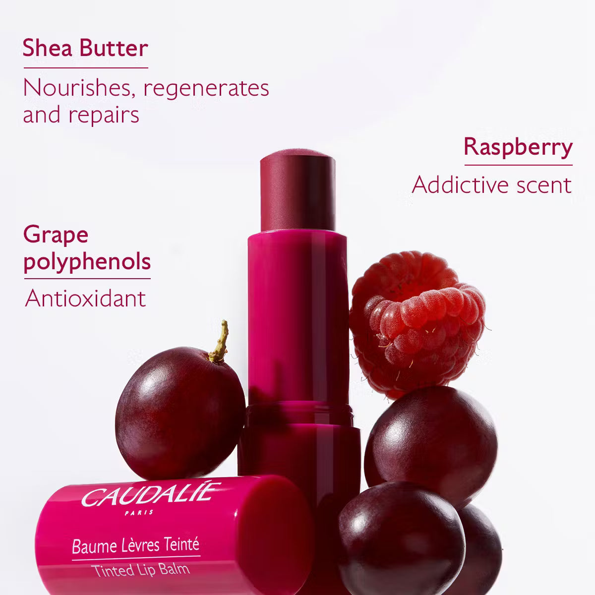 CAUDALIE Tinted Lip Conditioner