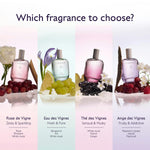 CAUDALIE Thé des Vignes Fragrance 50ml