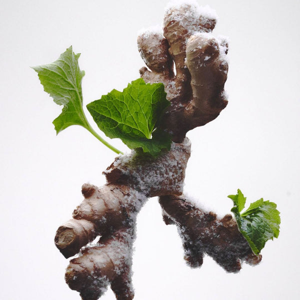 BON PARFUMEUR Eau de Parfum 803