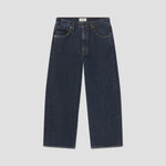 AGOLDE Low Curve Crop Jeans  in Pendulum