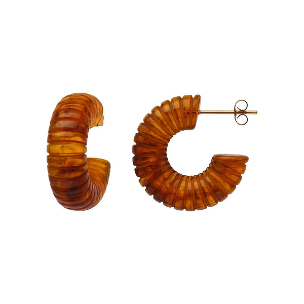 LUCAS JACK Resin Hoop Earrings in Tortoiseshell