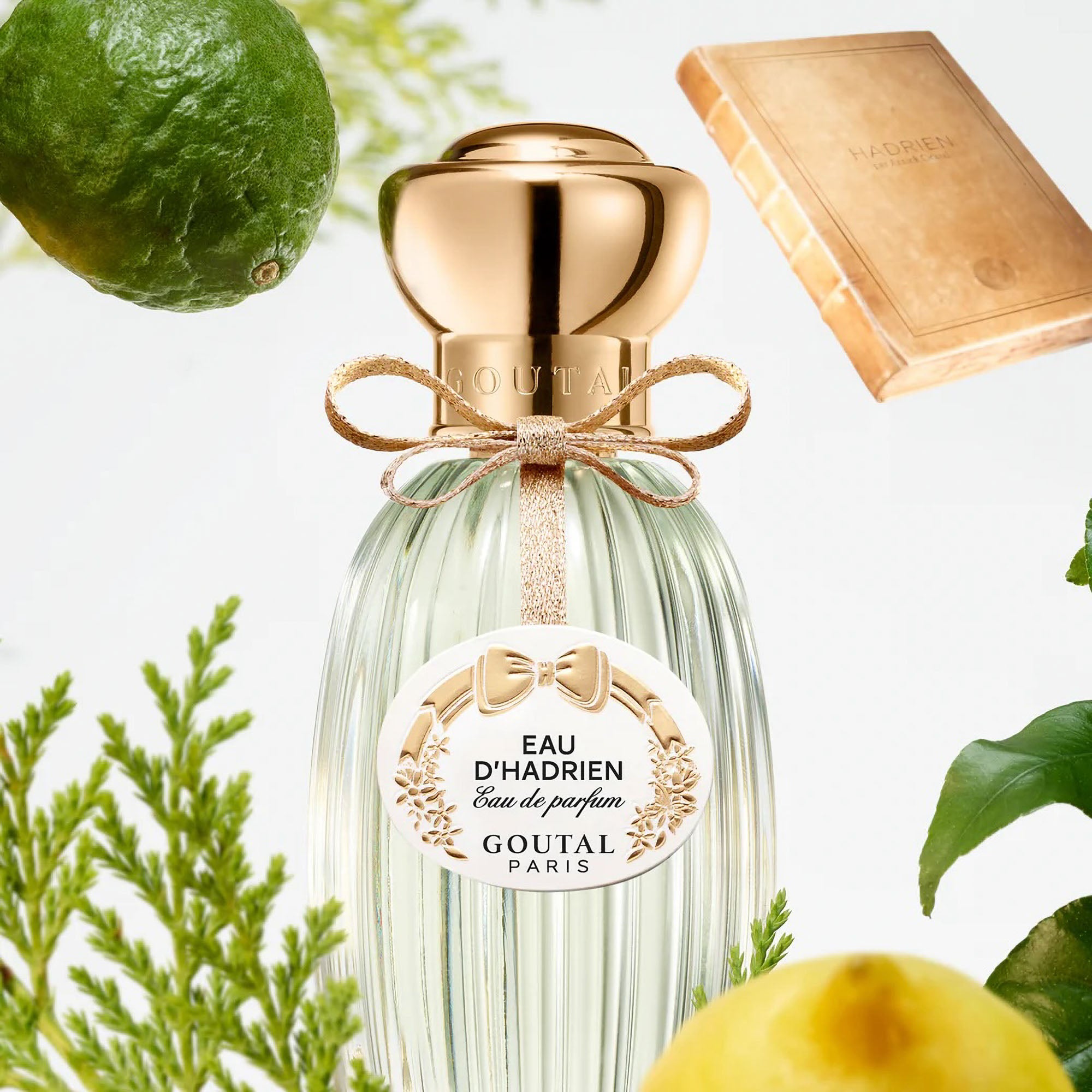 GOUTAL Eau D'Hadrien Eau de Parfum 100ml | Collen & Clare