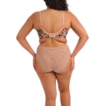 ELOMI Lucie High Leg Brief in Wildcat