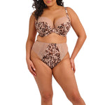 ELOMI Lucie High Leg Brief in Wildcat
