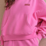 AMERICAN VINTAGE Plizzy Hoodie in Petunia/Vintage