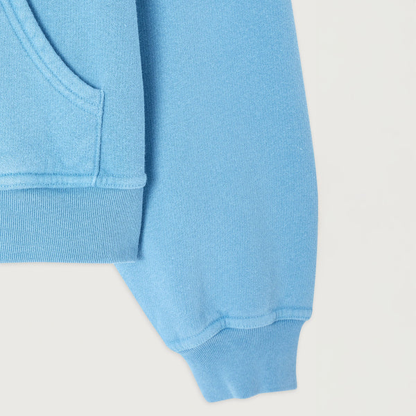 AMERICAN VINTAGE Plizzy Hoody Sweatshirt in Celeste