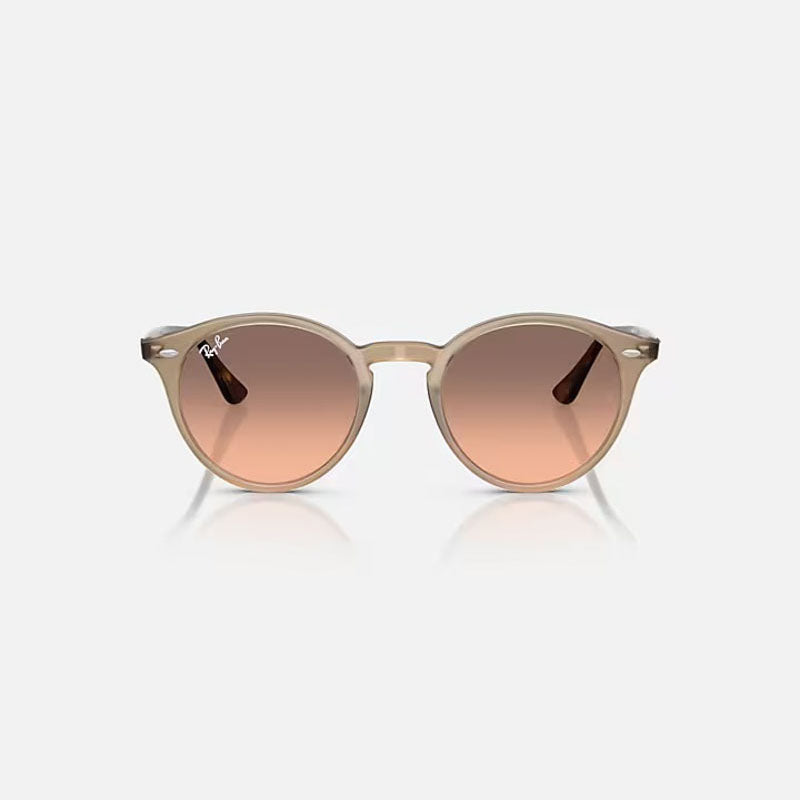 RAY-BAN RB2180 Sunglasses in Turtledove/Pink Gradient Grey