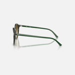 RAY-BAN Bernard RB2230 Sunglasses in Fantasy Green/Brown