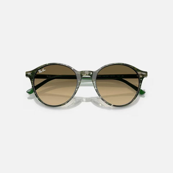 RAY-BAN Bernard RB2230 Sunglasses in Fantasy Green/Brown