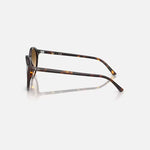 RAY-BAN Bernard RB2230 Sunglasses in Polished Havana/Clear Gradient Brown