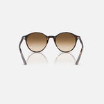 RAY-BAN Bernard RB2230 Sunglasses in Polished Havana/Clear Gradient Brown