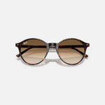 RAY-BAN Bernard RB2230 Sunglasses in Polished Havana/Clear Gradient Brown