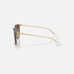 RAY-BAN Erika Classic RB4171 Sunglasses in Polished Transparent Light Brown