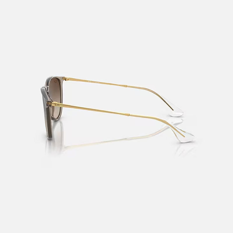 RAY-BAN Erika Classic RB4171 Sunglasses in Polished Transparent Light Brown