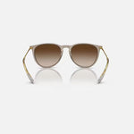 RAY-BAN Erika Classic RB4171 Sunglasses in Polished Transparent Light Brown