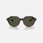 RAY-BAN Gina RB4399 Sunglasses in Polished Havana/Green