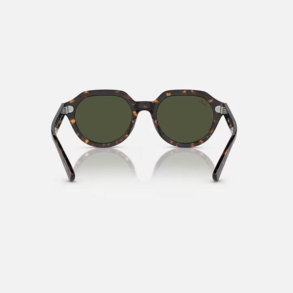 RAY-BAN Gina RB4399 Sunglasses in Polished Havana/Green