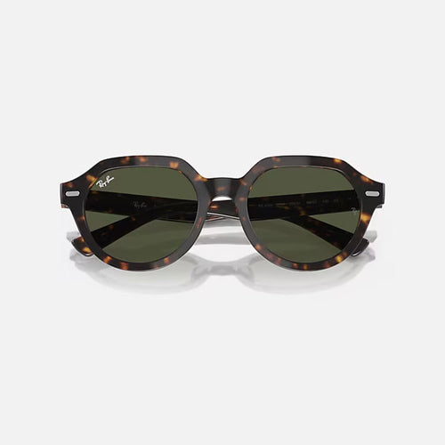 RAY-BAN Gina RB4399 Sunglasses in Polished Havana/Green