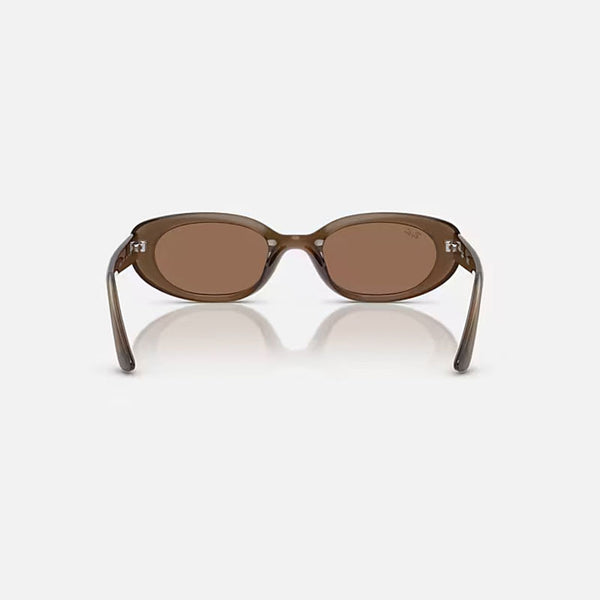 RAY-BAN RB4441D Sunglasses in Matte Brown/Dark Brown