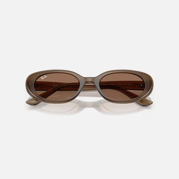 RAY-BAN RB4441D Sunglasses in Matte Brown/Dark Brown