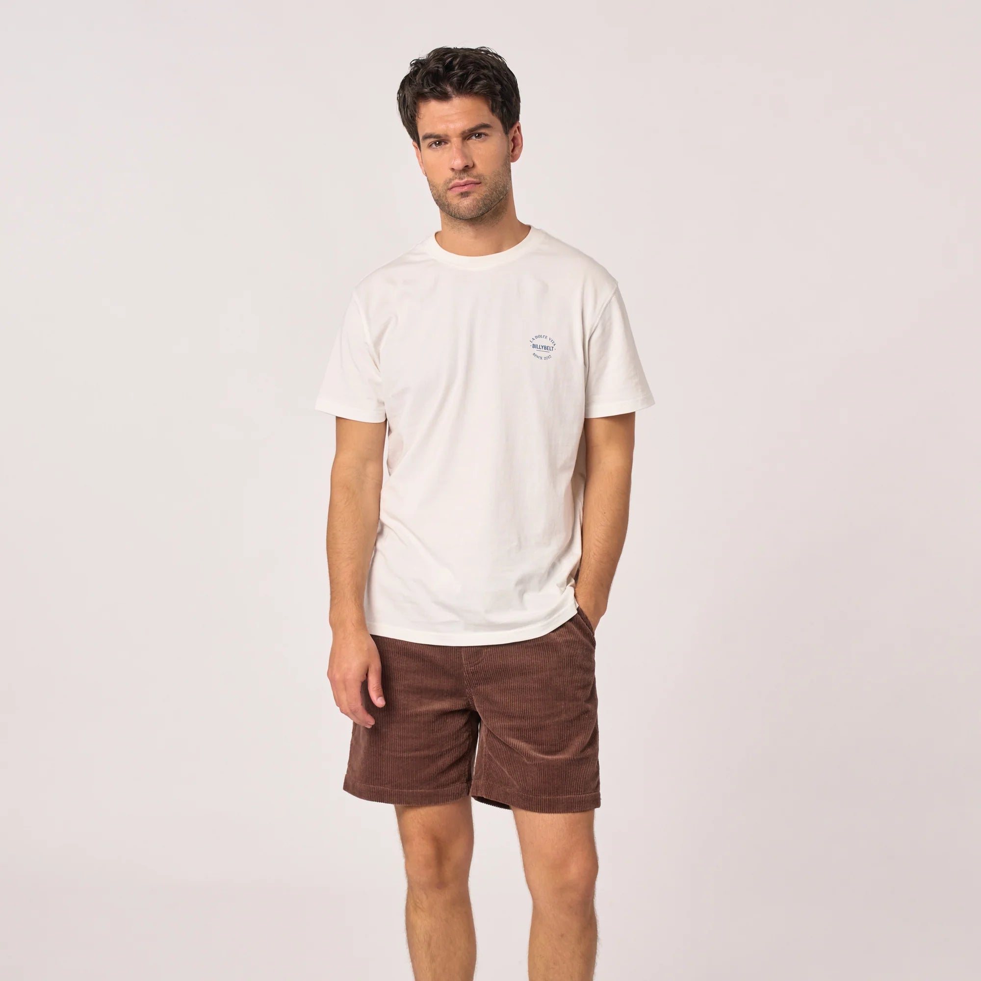 BILLYBELT Velvet Shorts in Brown